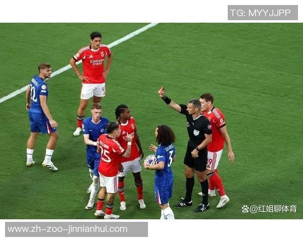 足球运动全面停摆全球球迷心碎赛事未来何去何从