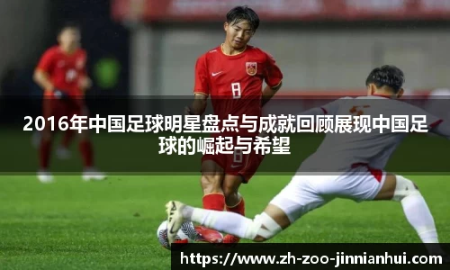 2016年中国足球明星盘点与成就回顾展现中国足球的崛起与希望